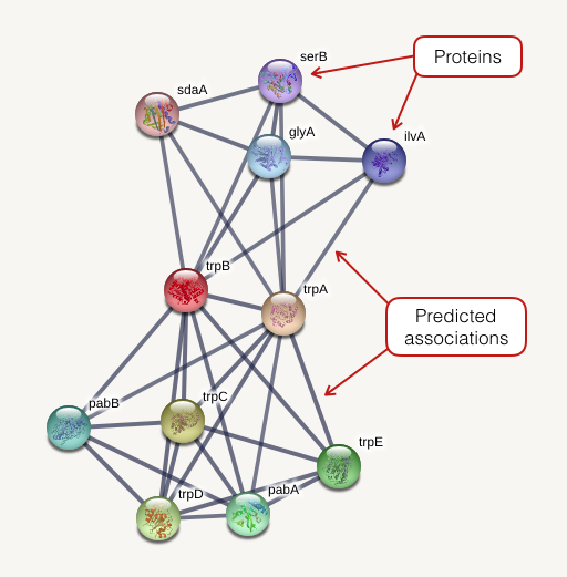 Network view