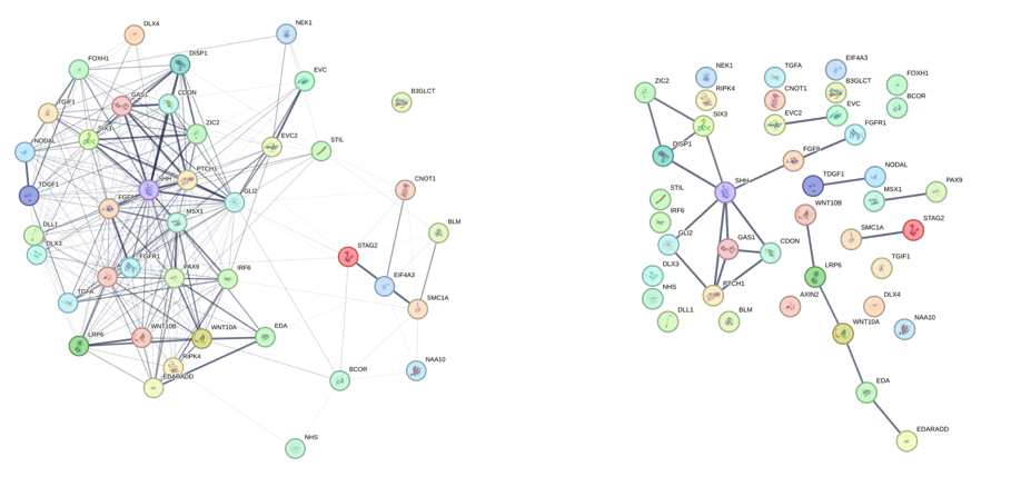 low and highest confidence cutoff networks
