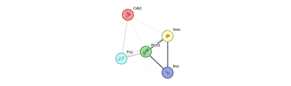 smo ptc cdk2 network